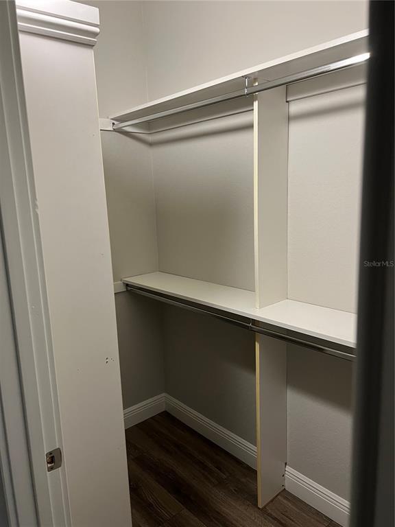 Building Photo - 2411 W Horatio St