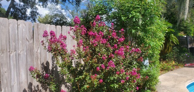 Building Photo - 2620 Moody Ave