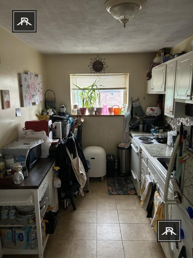 Primary Photo - 1 bedroom in Newton MA 02459