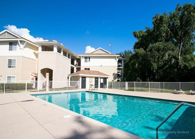 Primary Photo - Beautiful 4/4 Condo in University Terrace
