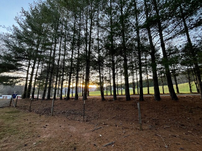 Building Photo - 83 Piney Mountain Church Rd