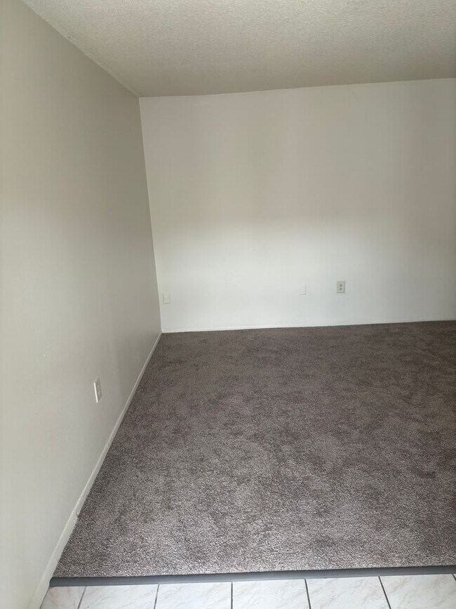 Building Photo - Baywatch Apartments- Five Minutes Driving from USF