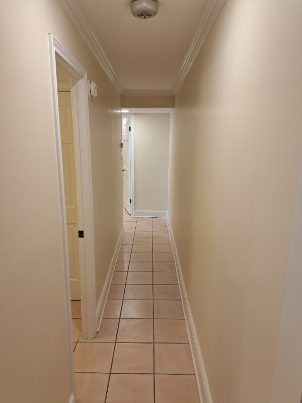 Building Photo - 617 Dauphine St