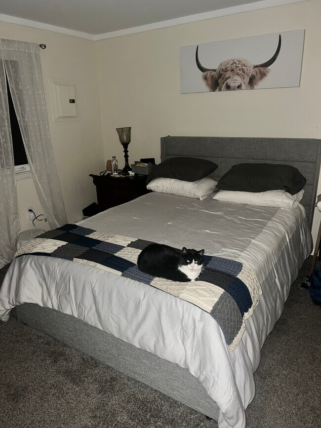 BEDROOM 1 - 46 Strasbourg Dr