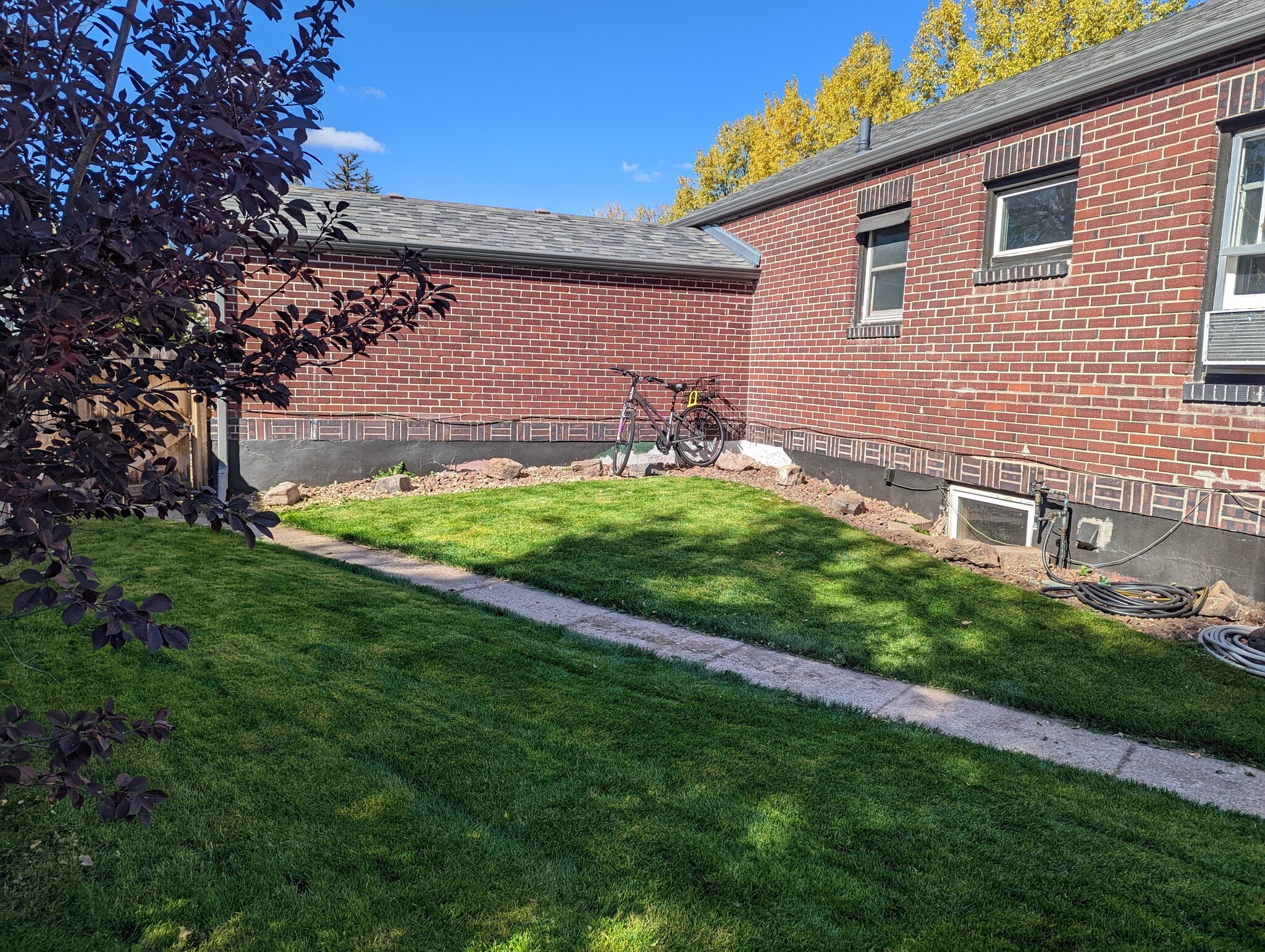 Shared back yard - 609 Randall Ave