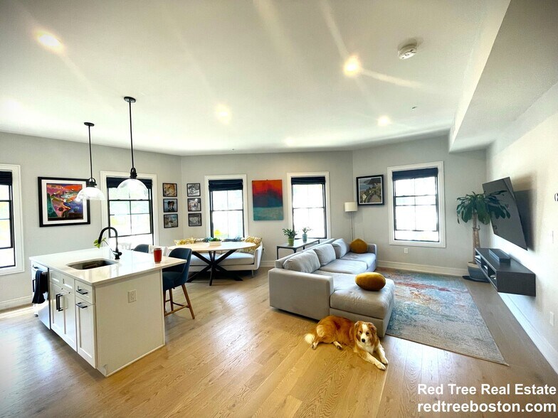 Primary Photo - 37 Horace St