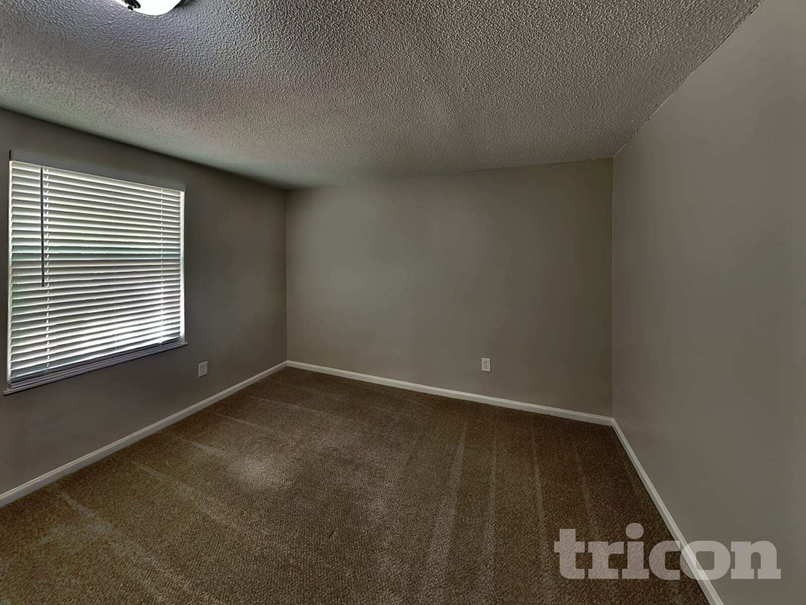 Building Photo - 509 Glen Ellyn Ct