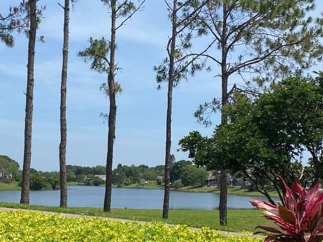 Building Photo - 2553 Grassy Point Dr