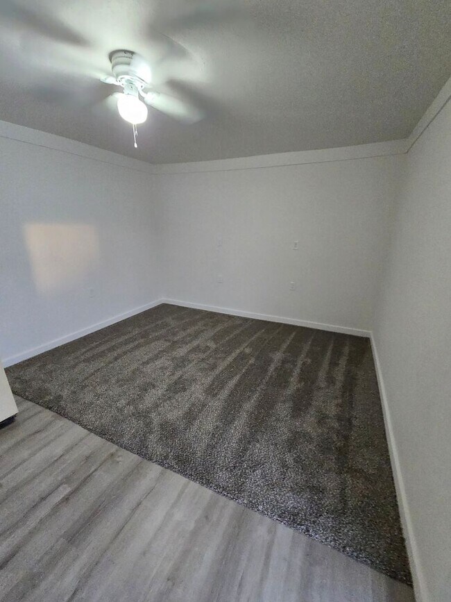 Interior Photo - RENT SUX - 110 ALDERSON STREET