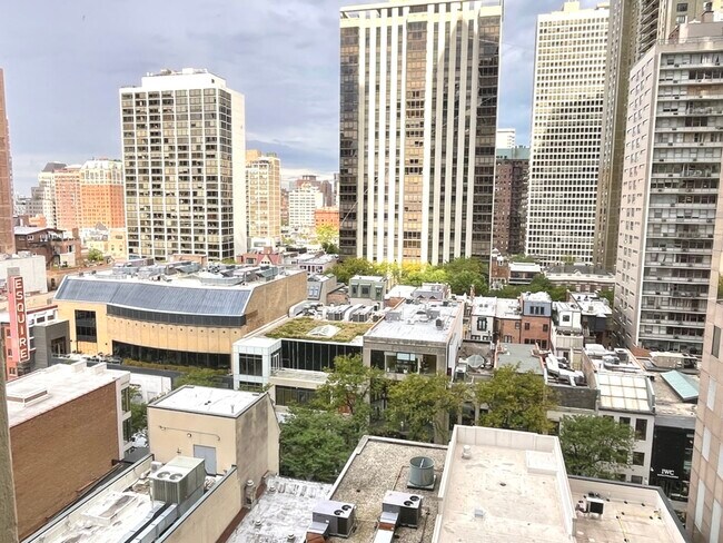 Building Photo - 100 E Walton Pl