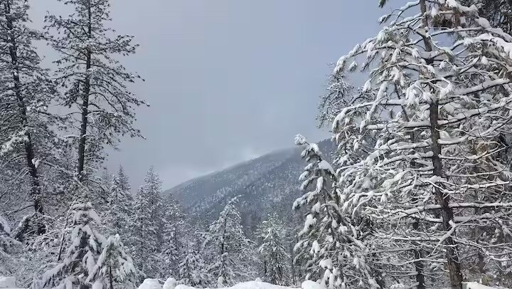 Building Photo - 2411 Glacier Dr