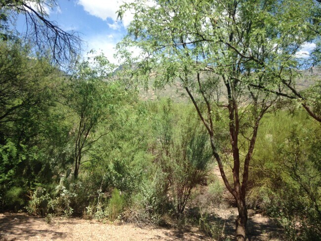 Building Photo - 5751 N Kolb Rd