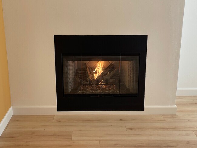 Gas Fireplace - 3029 Harbor Blvd