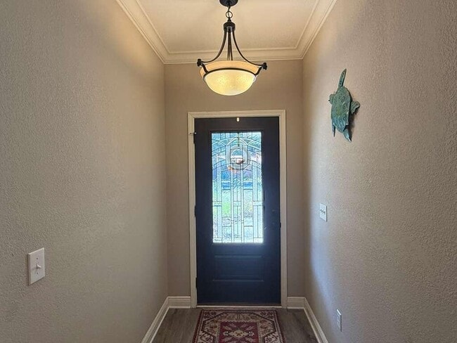 Building Photo - 703 Nutmeg Ave