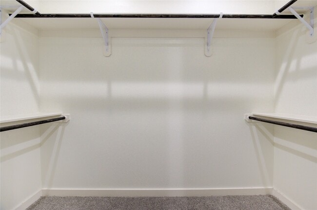 Building Photo - 2903 El Fenice Ln