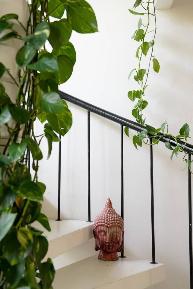 Building Photo - Cozy 1B/1B Condo off Canyon in Downtown Boulder - Available May 8!