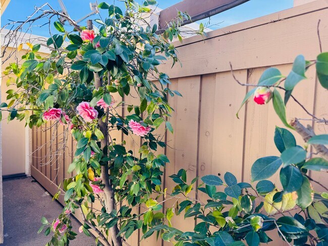 Building Photo - Tastefully updated 2 bedroom/2 bath, single level townhome w/attached 2 car garage!