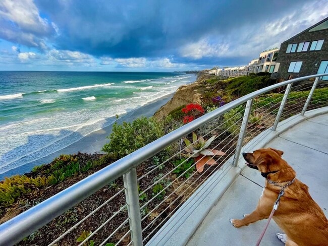 Building Photo - Fully Furnished Townhouse in the oceanfron...