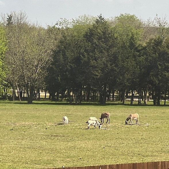 Building Photo - 1704 Dunbrook Rd