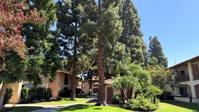 Building Photo - 6019 Rancho Mission Rd