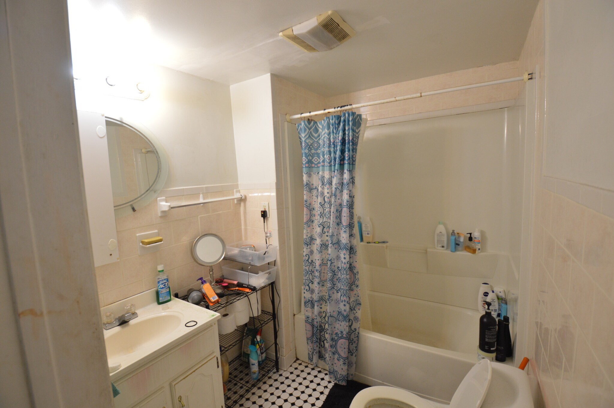 Building Photo - 56 Egmont St