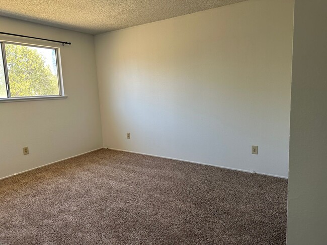 Building Photo - New LVP & Carpet! Great Anderson location!