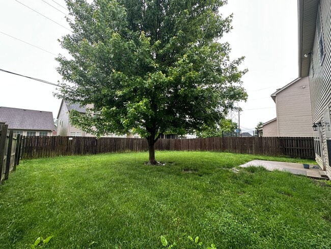 Building Photo - COMING SOON! Beautiful, Spacious 3 BR Home...