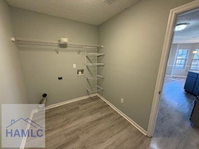 Building Photo - 124 Wayfair Ln