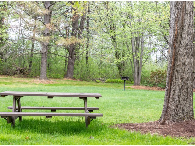 Picnic Areas - PRINCETON ARBORS