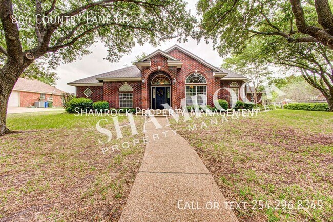Primary Photo - Meadowland Estates