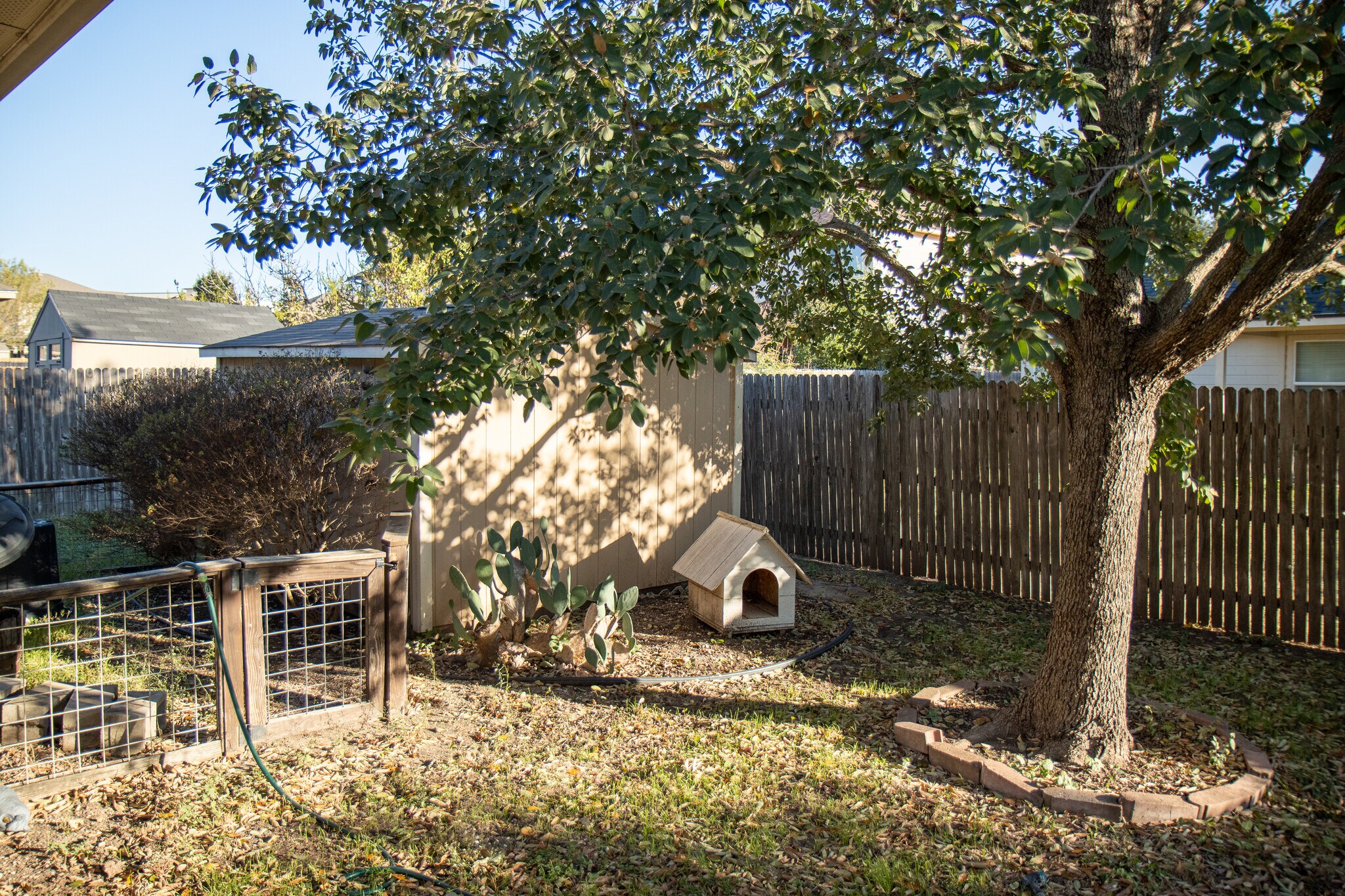Backyard with Shed & Garden - 2808 Granite Cove