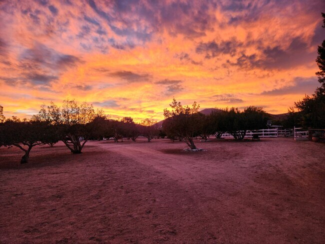 Building Photo - 32923 Tindall Ave