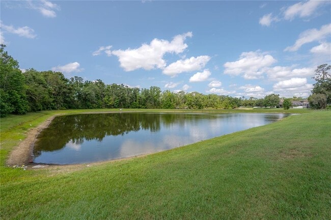 Building Photo - 27528 Water Ash Dr