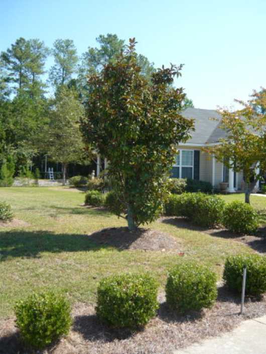 Building Photo - 175 Oakland Dr