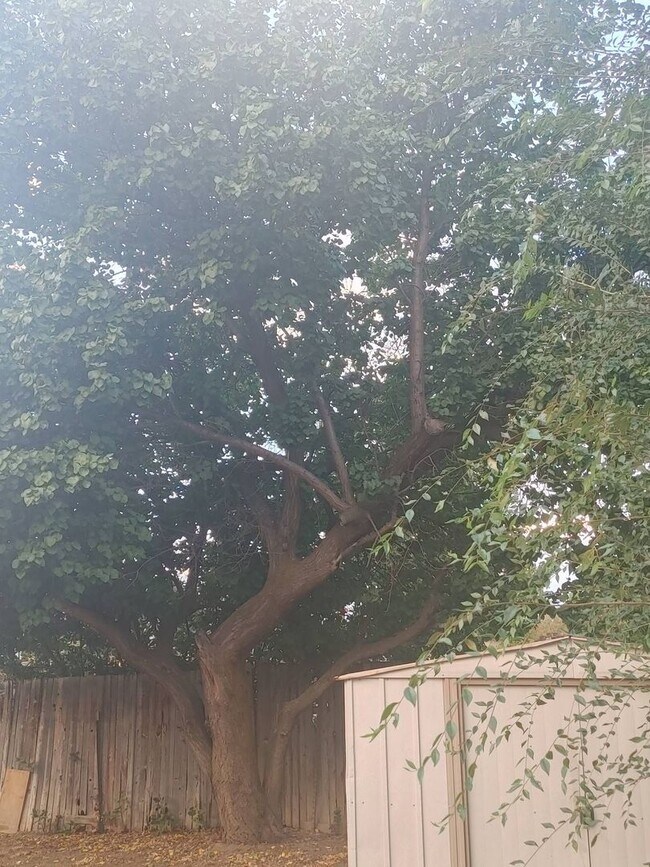 Building Photo - Quaint West Jordan Duplex w covered carport!