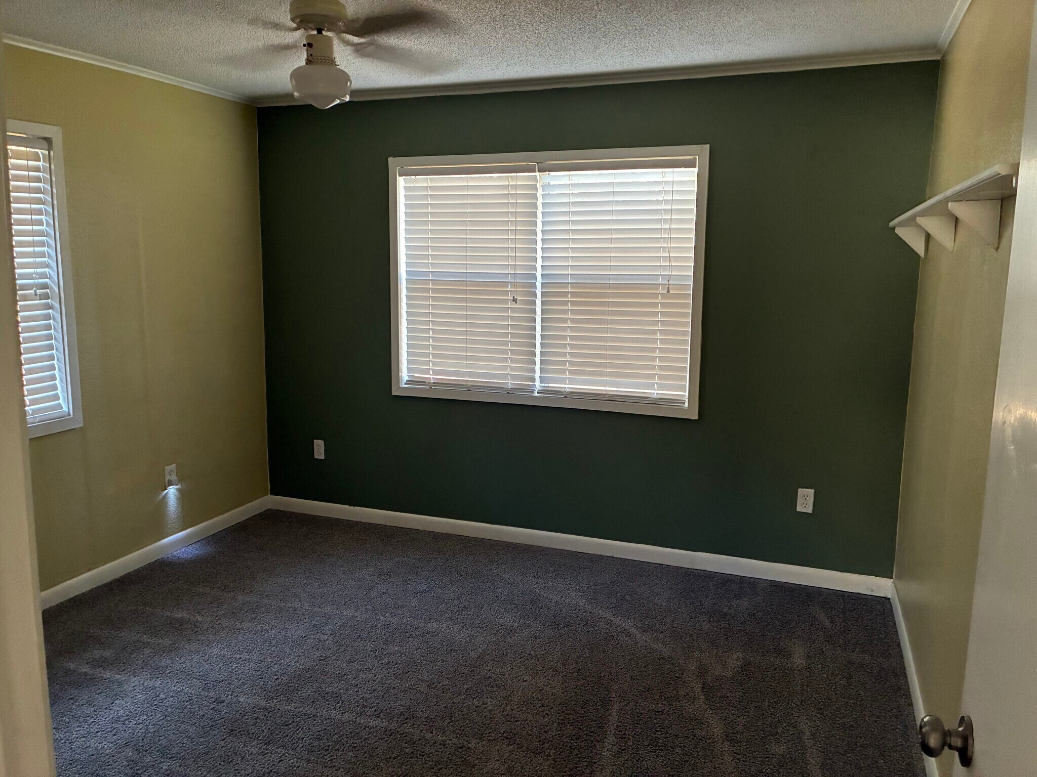 Building Photo - 58 Alice St