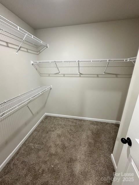 Building Photo - 7028 Stoney Wood Ln