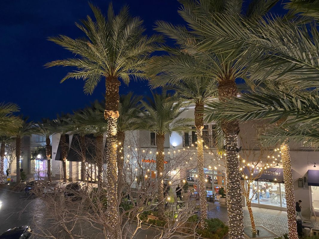 Building Photo - 2260 Village Walk Dr