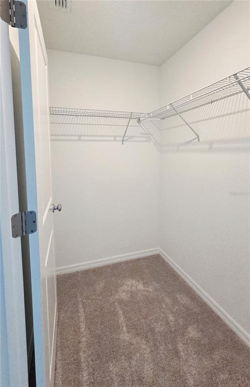 Building Photo - 36110 Risa Michele St