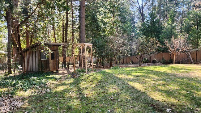 Building Photo - Large Home Close to Town In The Trees