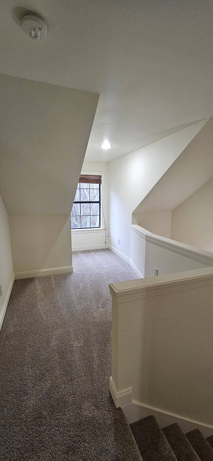 bonus room/media hallway - 344 Amber Ln