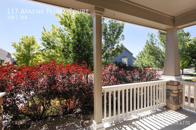 Building Photo - 117 Apache Plume Ct