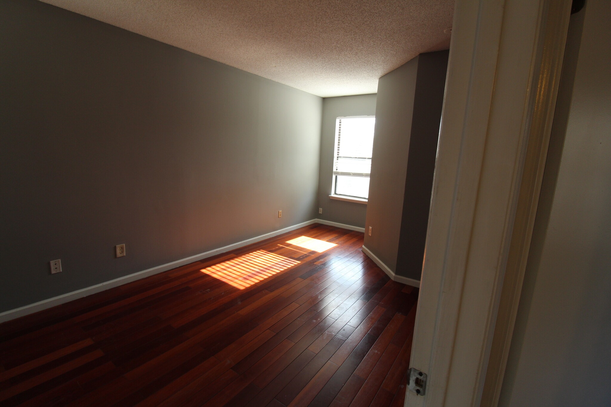 Building Photo - 530 Roys Ct