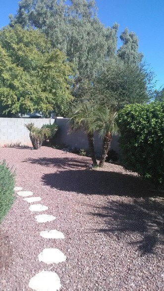 Rear yard - 1671 N Garrett Dr