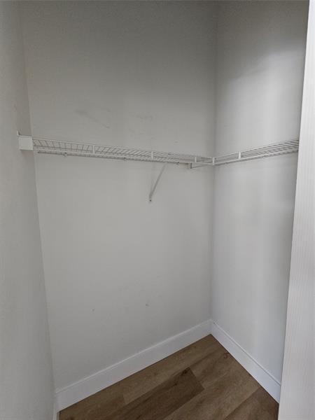 Building Photo - 9749 Porta Leona Ln
