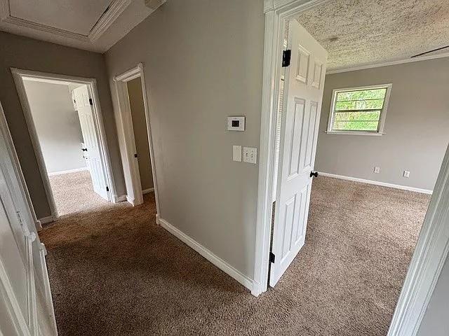 Building Photo - 203 N Lake Dr