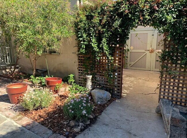 Back Yard - 1124 Manzanita St