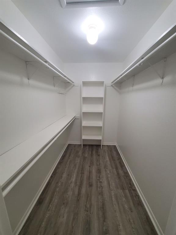 Building Photo - 8716 Clearbrook Trail