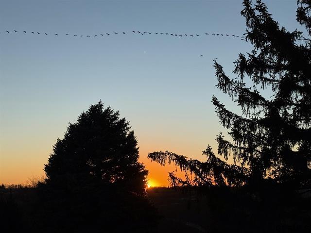 Building Photo - 15402 S 10th St