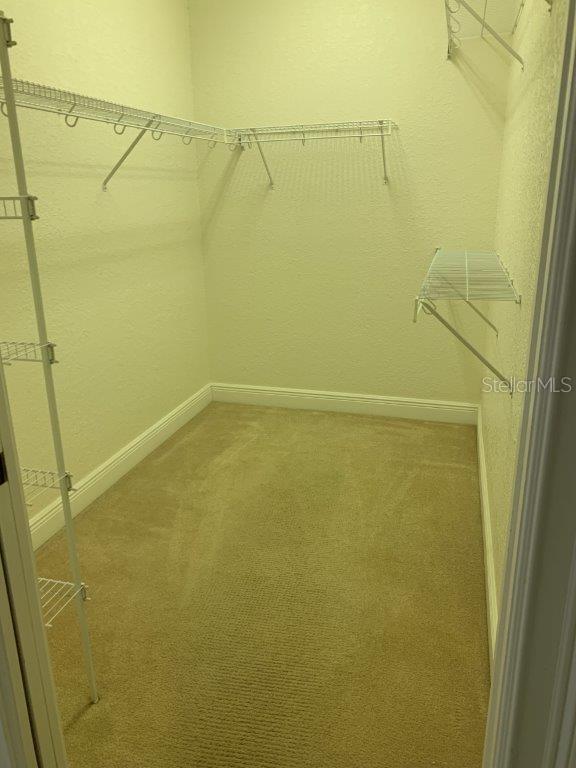 Building Photo - 268 Lewis Cir